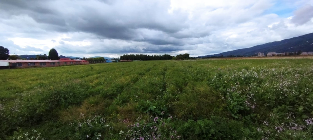 Lote en venta en Guaymaral, Bogotá, 44 m² · foto 2 de 7