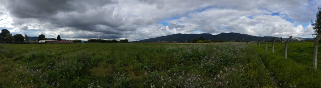 Lote en venta en Guaymaral, Bogotá, 44 m² · foto 3 de 7