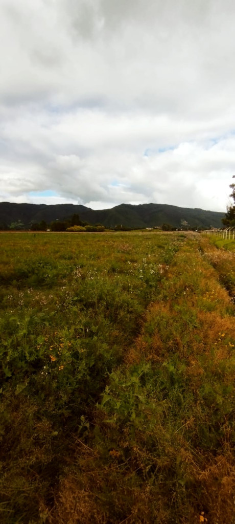Lote en venta en Guaymaral, Bogotá, 44 m² · foto 5 de 7
