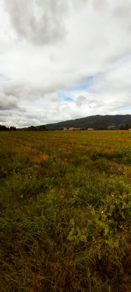 Lote en venta en Guaymaral, Bogotá, 44 m² · foto 6 de 7