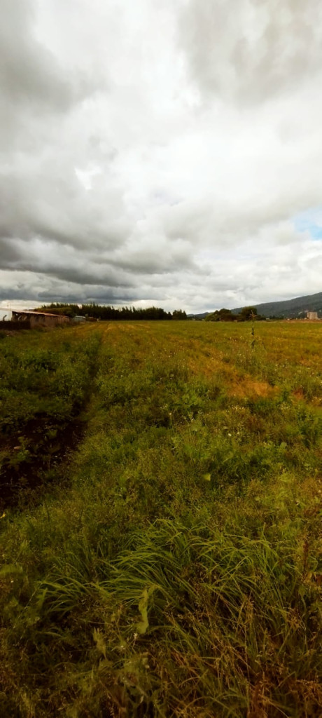 Lote en venta en Guaymaral, Bogotá, 44 m² · foto 7 de 7