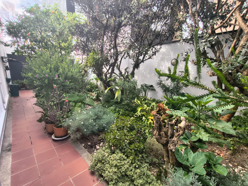 Casa en venta en San Patricio, Bogotá · foto 20 de 24
