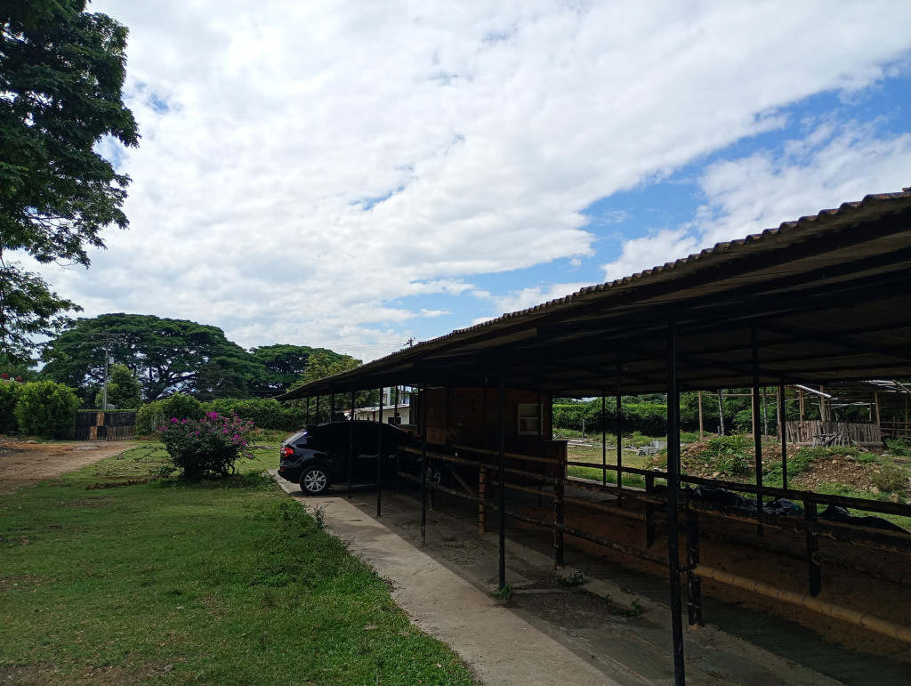 Finca En Arriendo - Puerto Tejada, Puerto Tejada