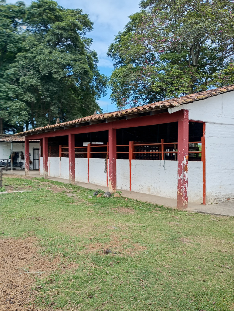 Finca En Arriendo - Puerto Tejada, Puerto Tejada