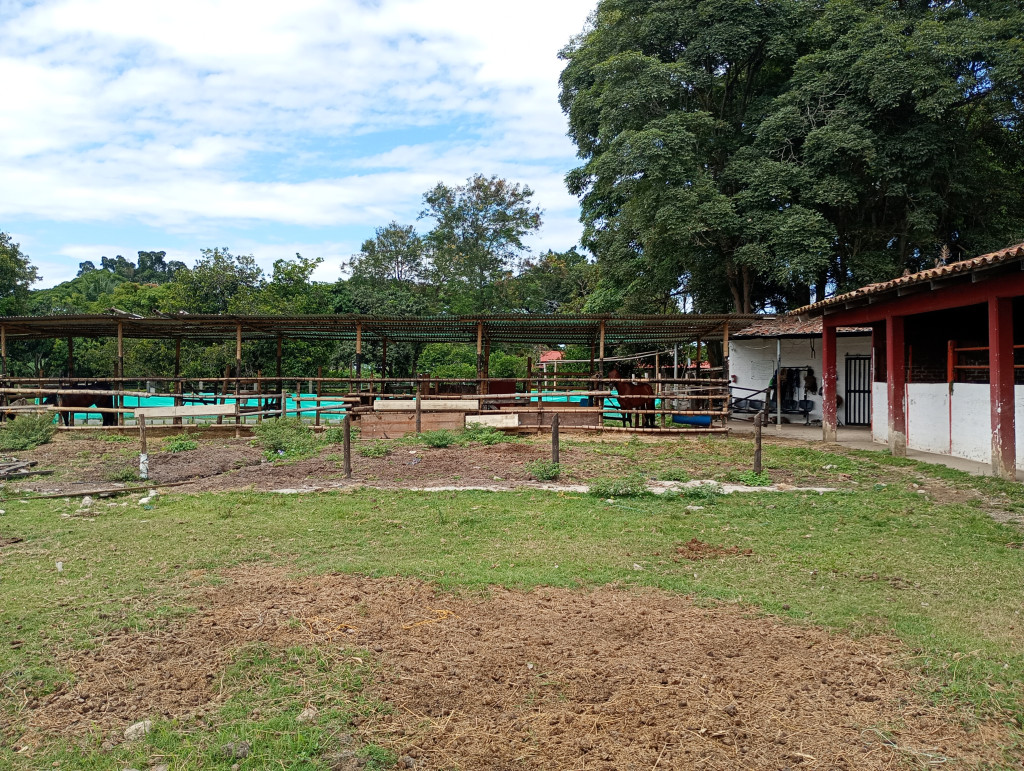 Finca En Arriendo - Puerto Tejada, Puerto Tejada