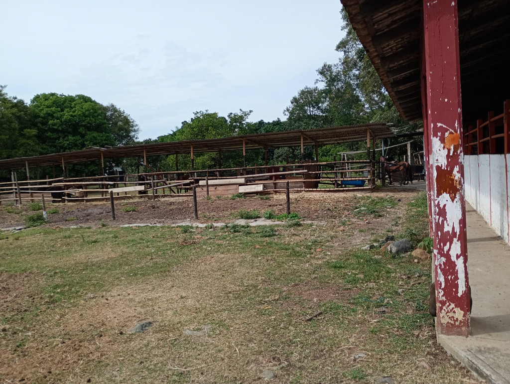 Finca En Arriendo - Puerto Tejada, Puerto Tejada