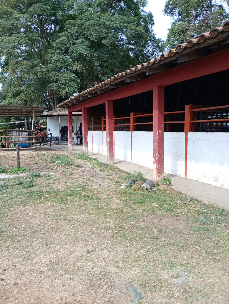 Finca En Arriendo - Puerto Tejada, Puerto Tejada