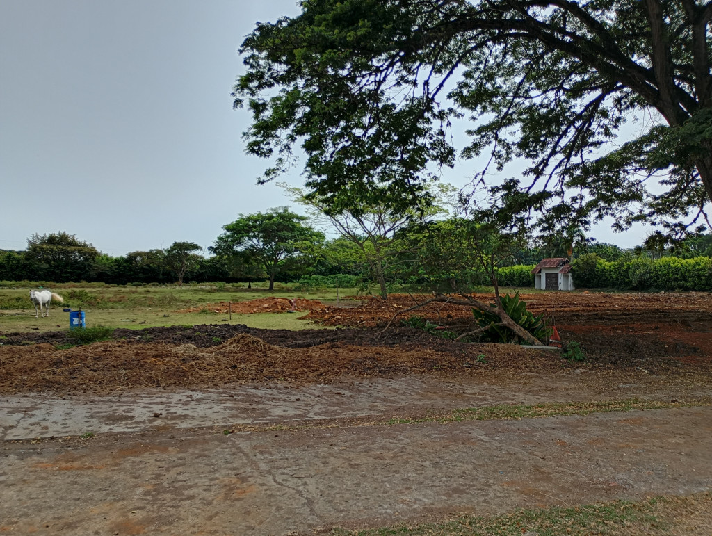 Finca En Arriendo - Puerto Tejada, Puerto Tejada