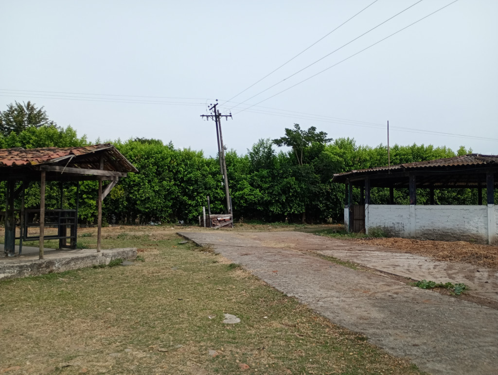 Finca En Arriendo - Puerto Tejada, Puerto Tejada