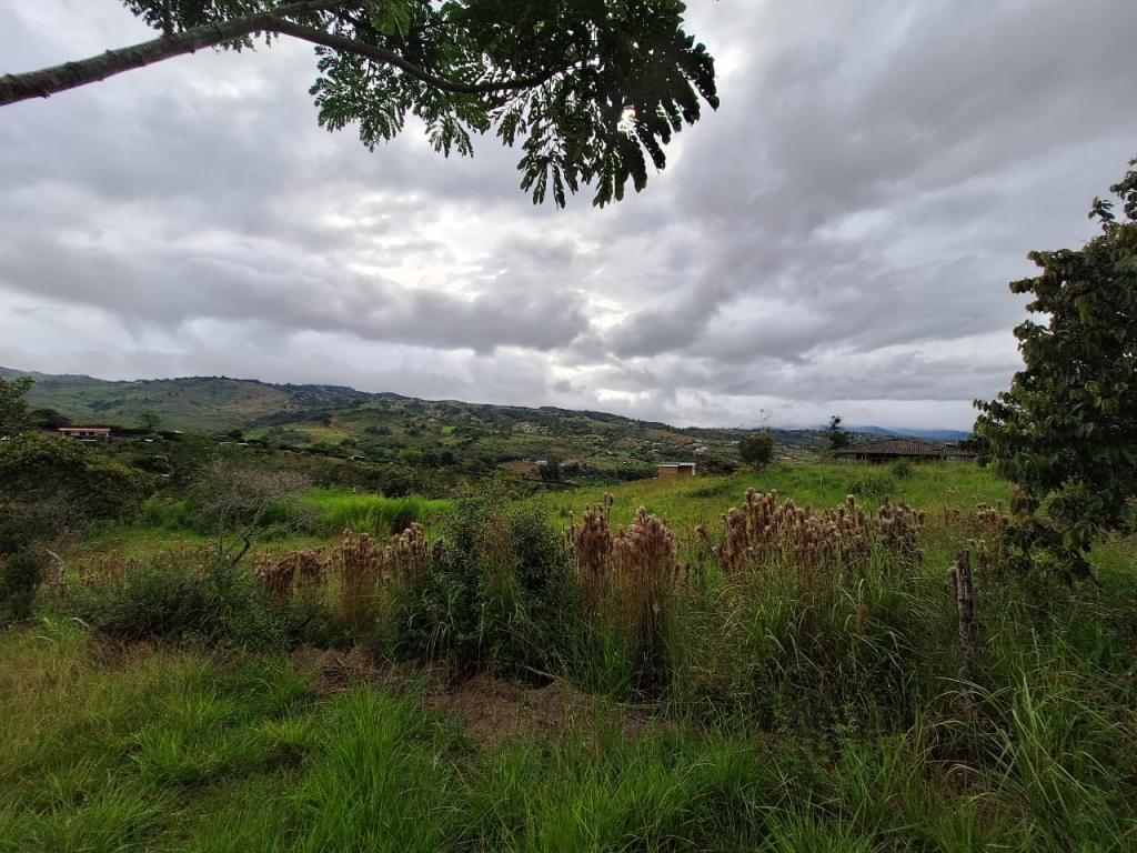 Lote En Venta - El Carmen, Dagua