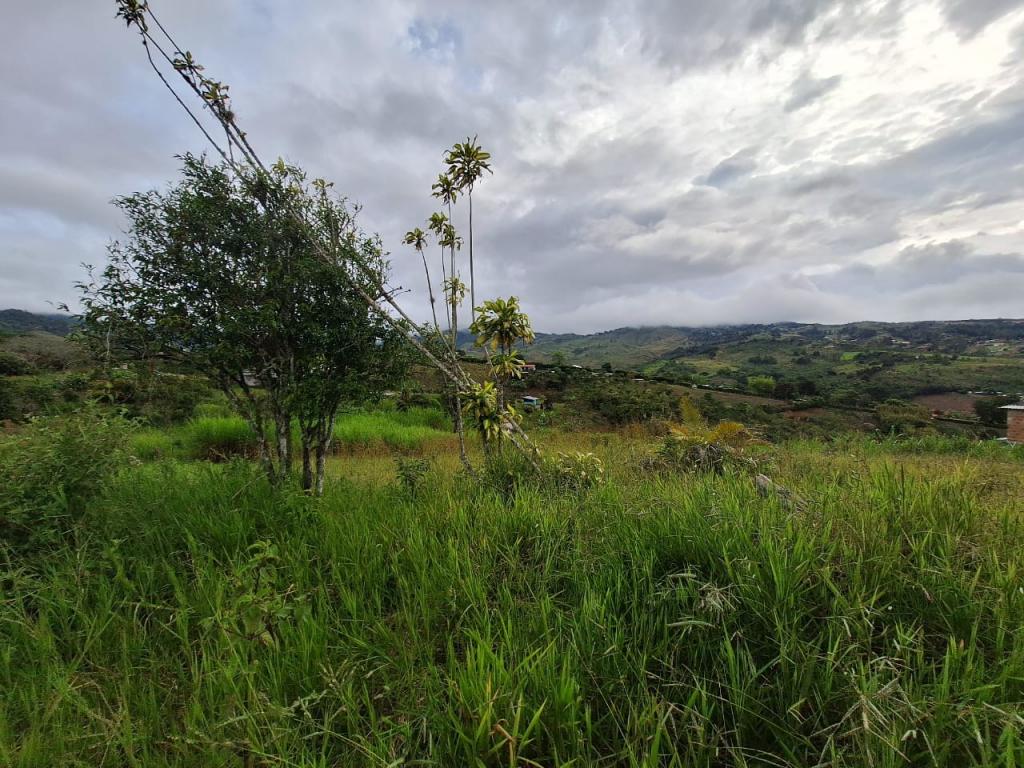 Lote En Venta - El Carmen, Dagua