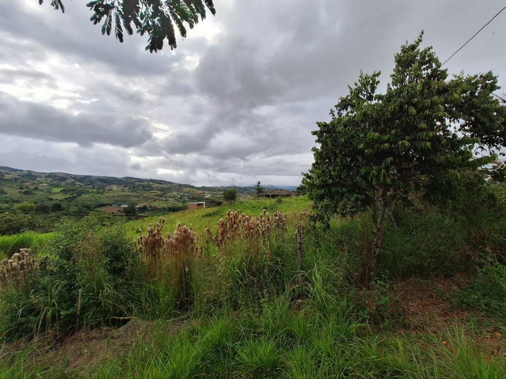 Lote En Venta - El Carmen, Dagua