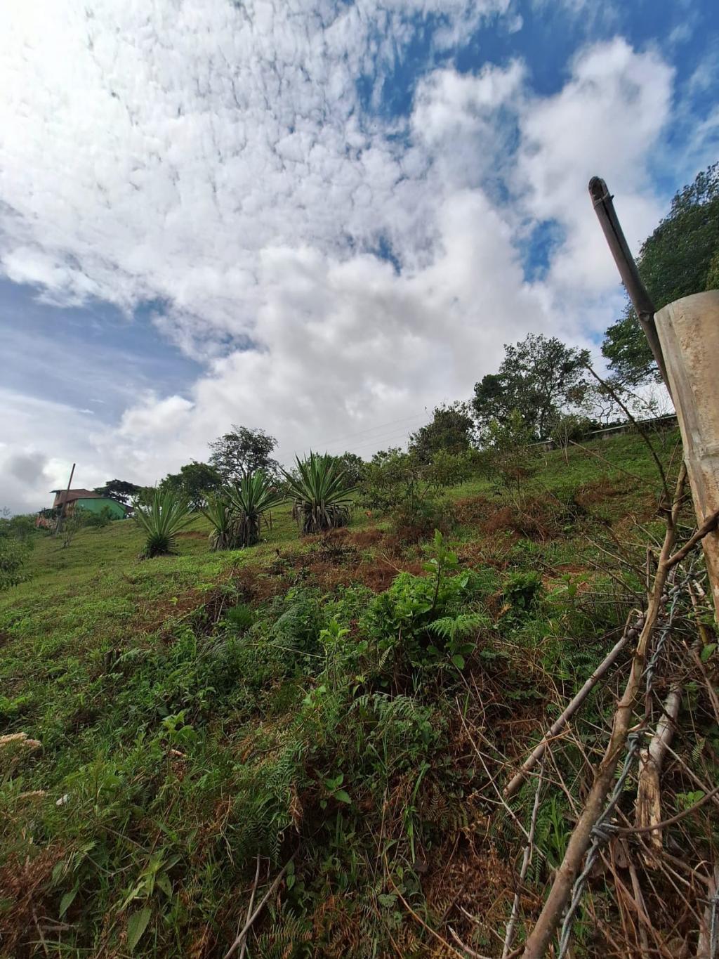 Lote En Venta - El Carmen, Dagua