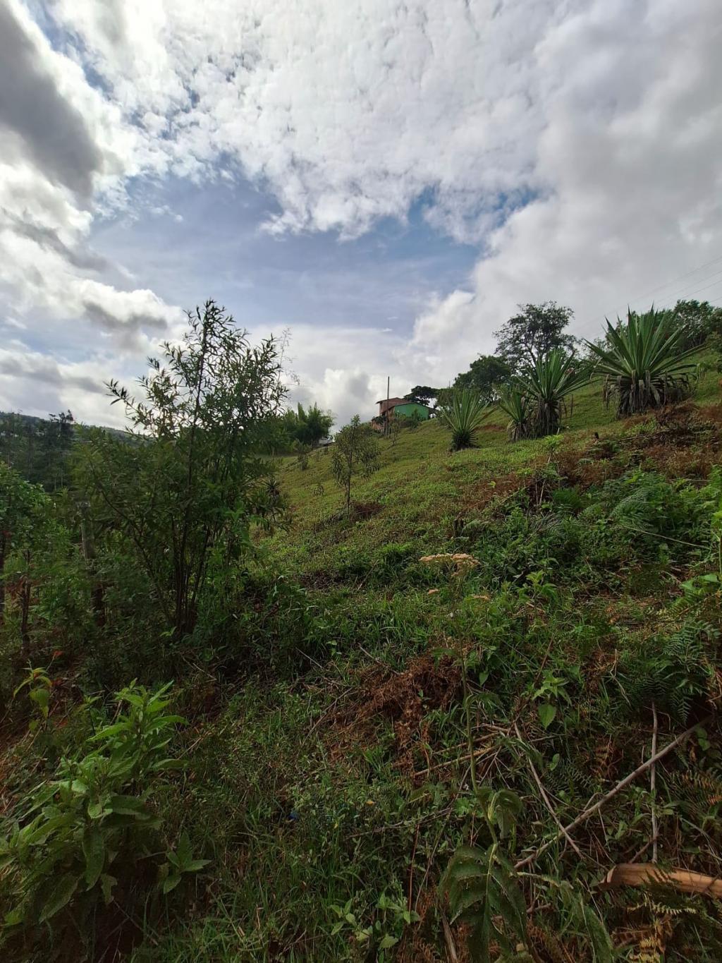 Lote En Venta - El Carmen, Dagua