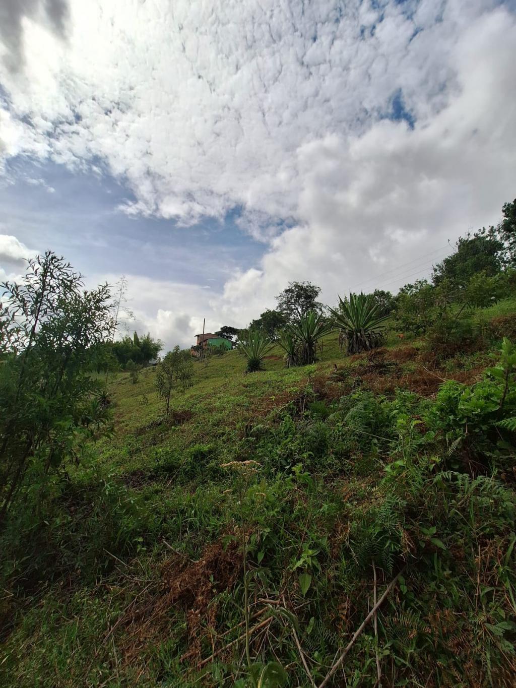 Lote En Venta - El Carmen, Dagua