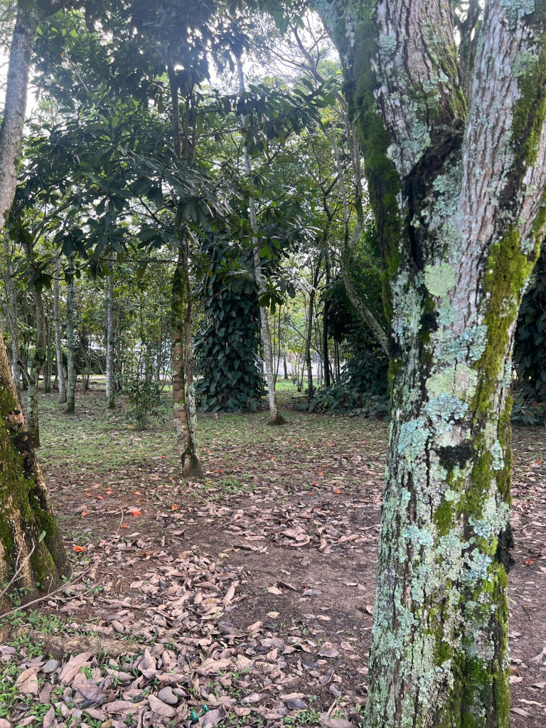 Casa En Venta - Alfaguara, Jamundí