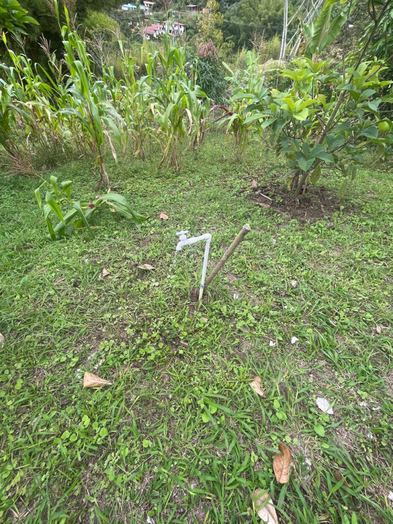 Lote En Venta - Vereda Del Palmar, Dagua