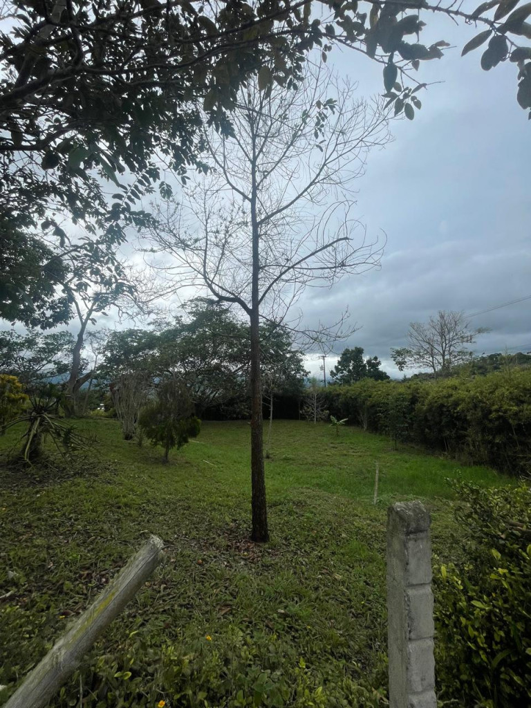 Lote En Venta - Vereda Del Palmar, Dagua