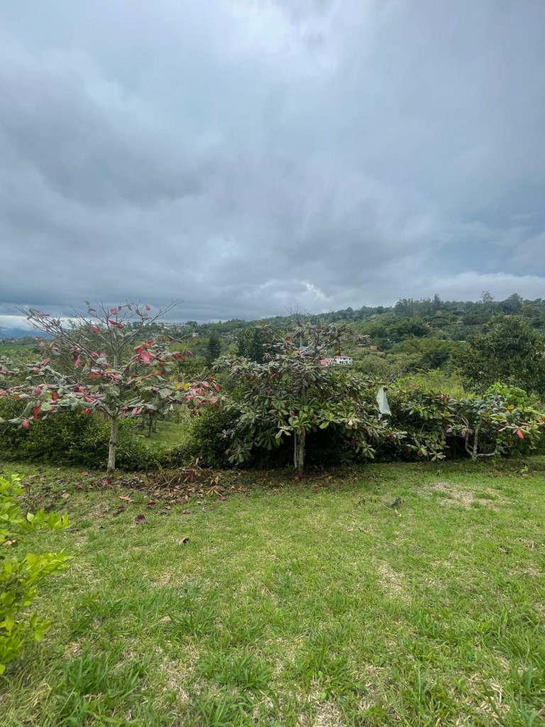 Lote En Venta - Vereda Del Palmar, Dagua