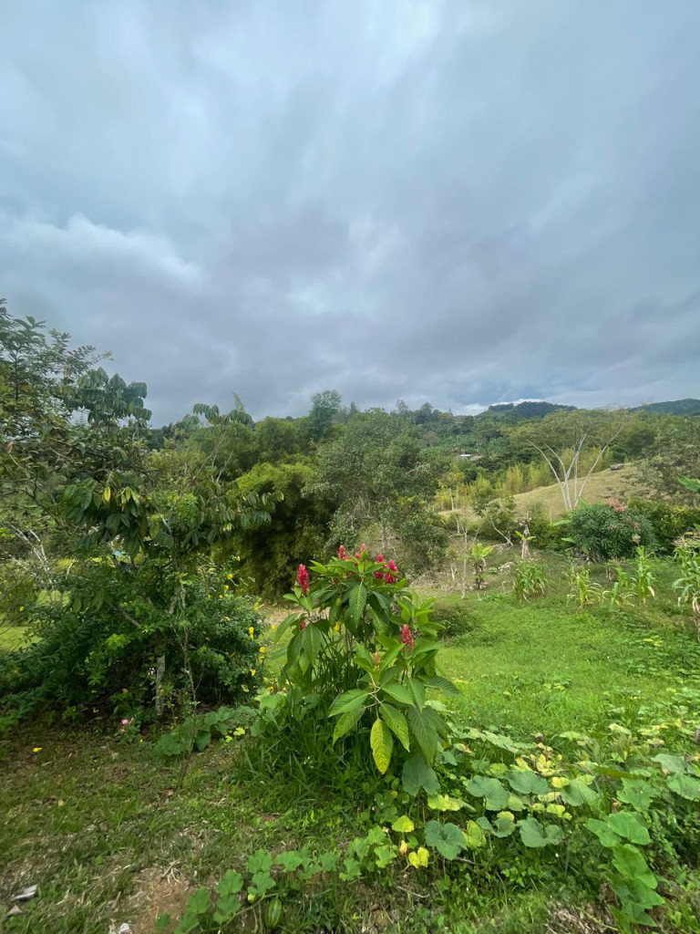 Lote En Venta - Vereda Del Palmar, Dagua