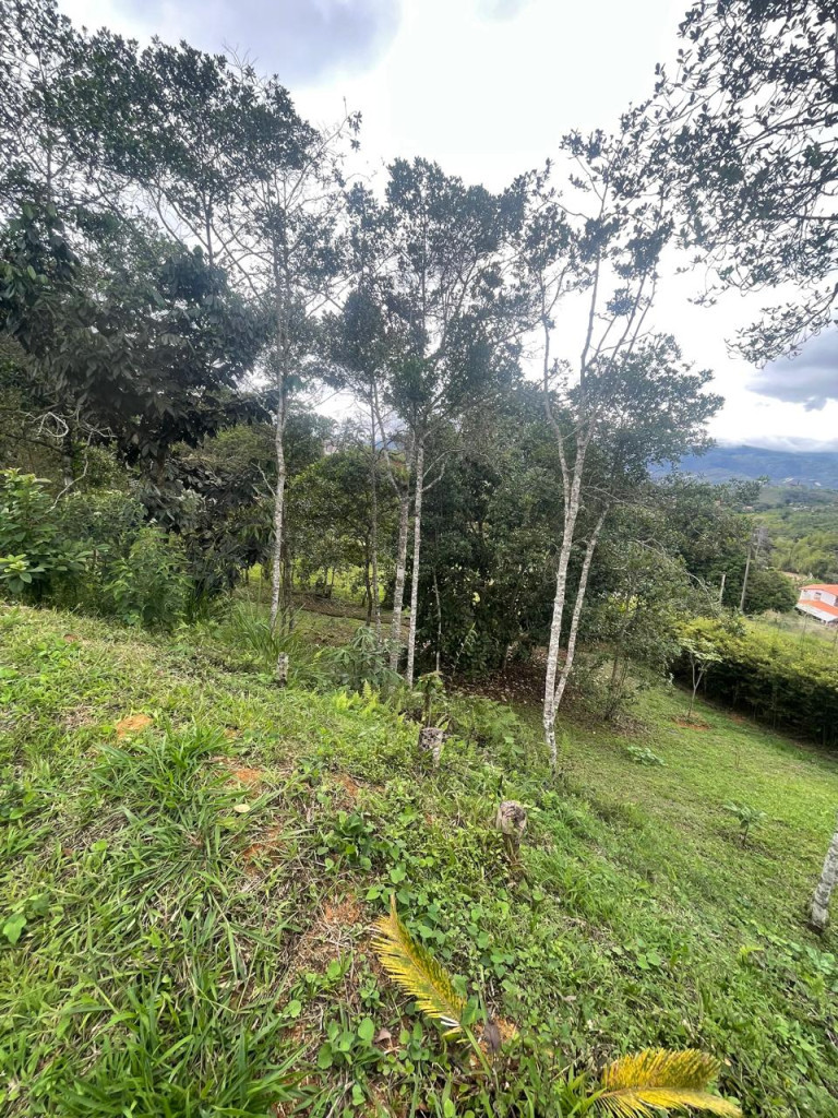 Lote En Venta - Vereda Del Palmar, Dagua