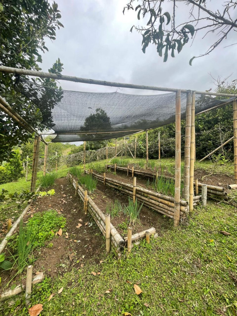 Lote En Venta - Vereda Del Palmar, Dagua