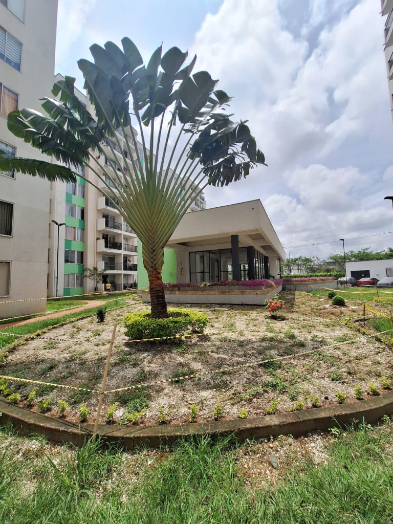 Apartamento En Arriendo - Sachamate, Jamundí