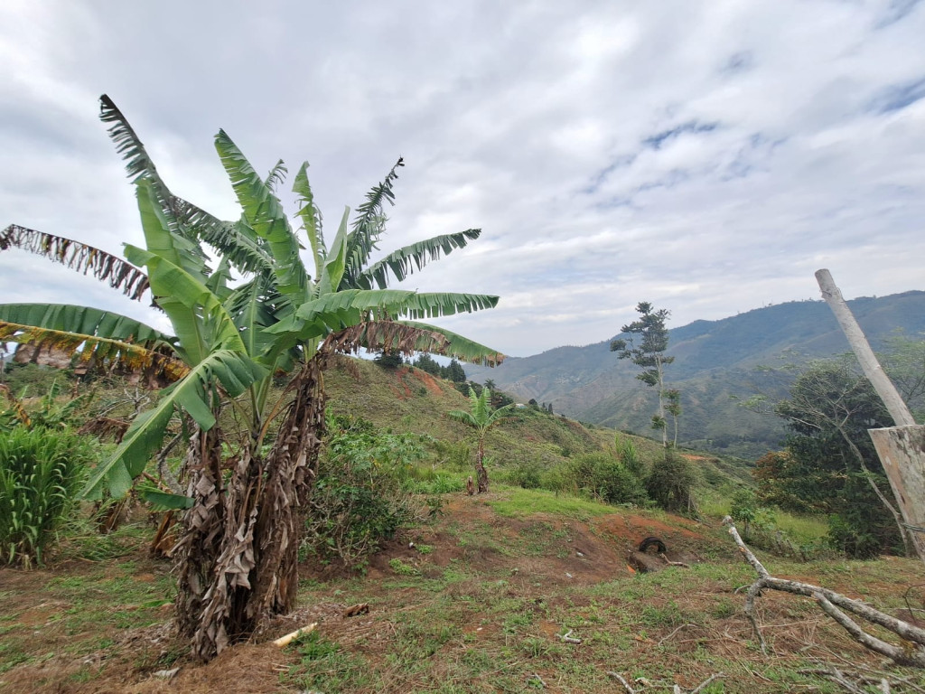 Finca En Arriendo/Venta - Vereda Montañitas, Yumbo