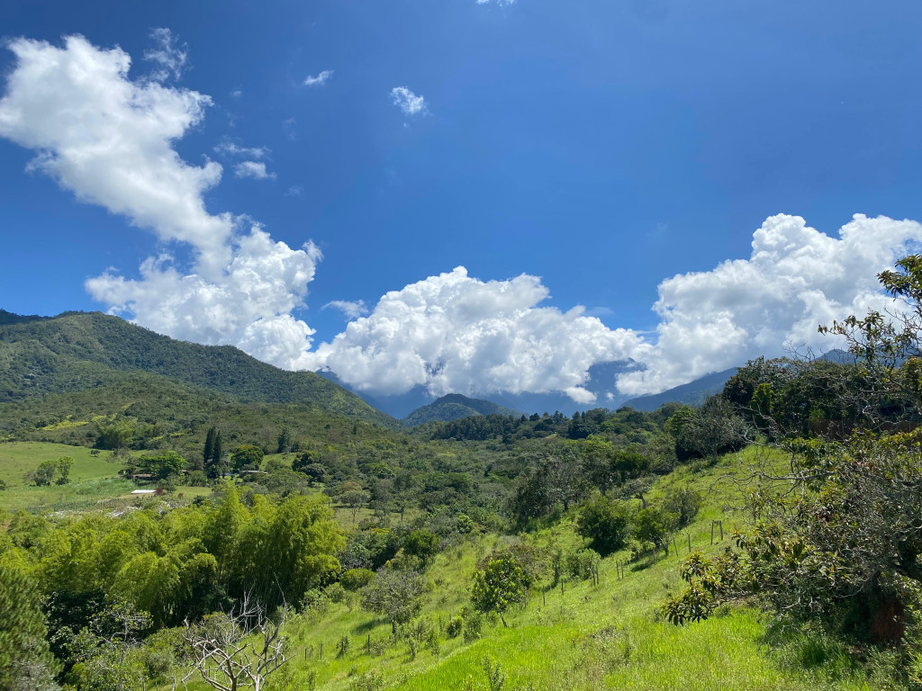 Lote En Venta - Pance, Cali