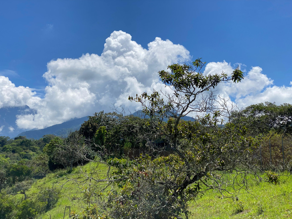 Lote En Venta - Pance, Cali