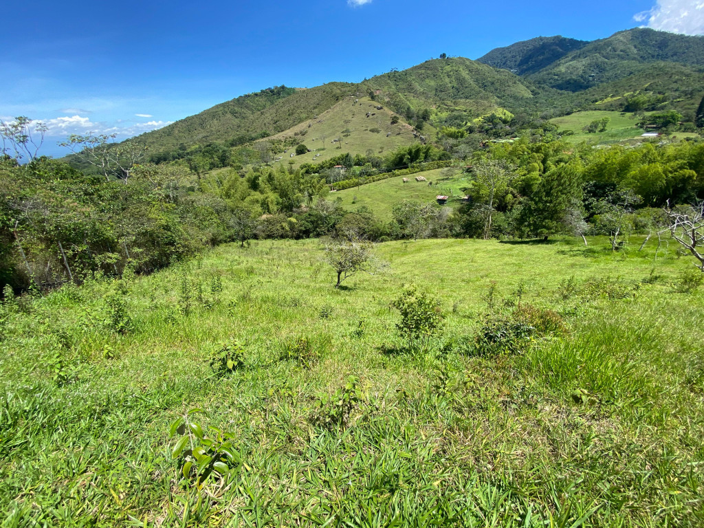 Lote En Venta - Pance, Cali