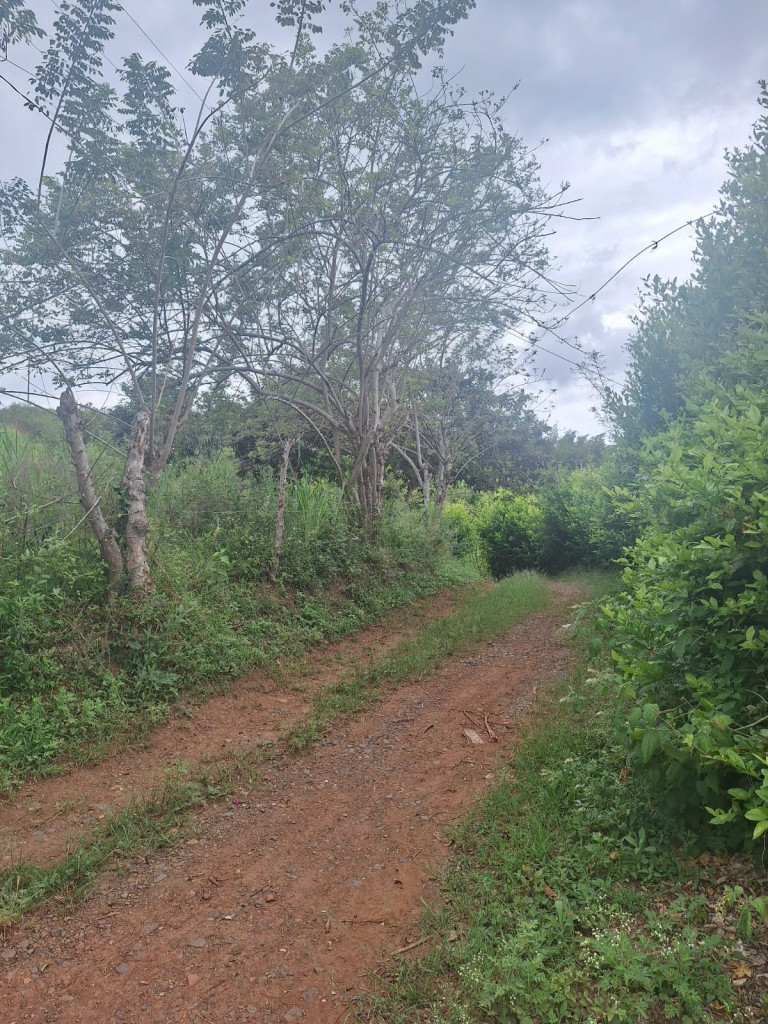 Lote En Venta - Dagua, Dagua