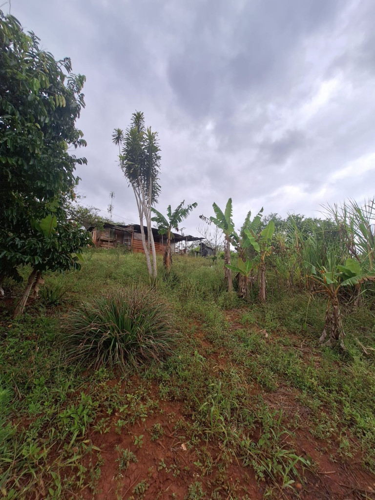 Lote En Venta - Dagua, Dagua