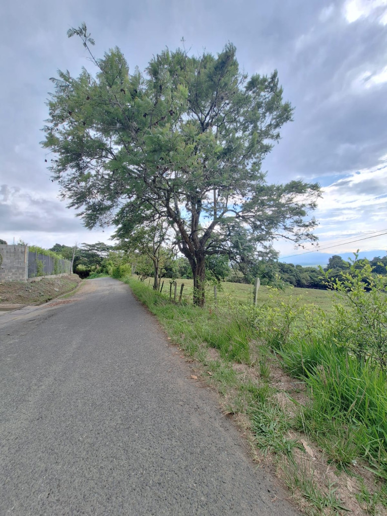 Lote En Venta - Santa Elena, El Cerrito