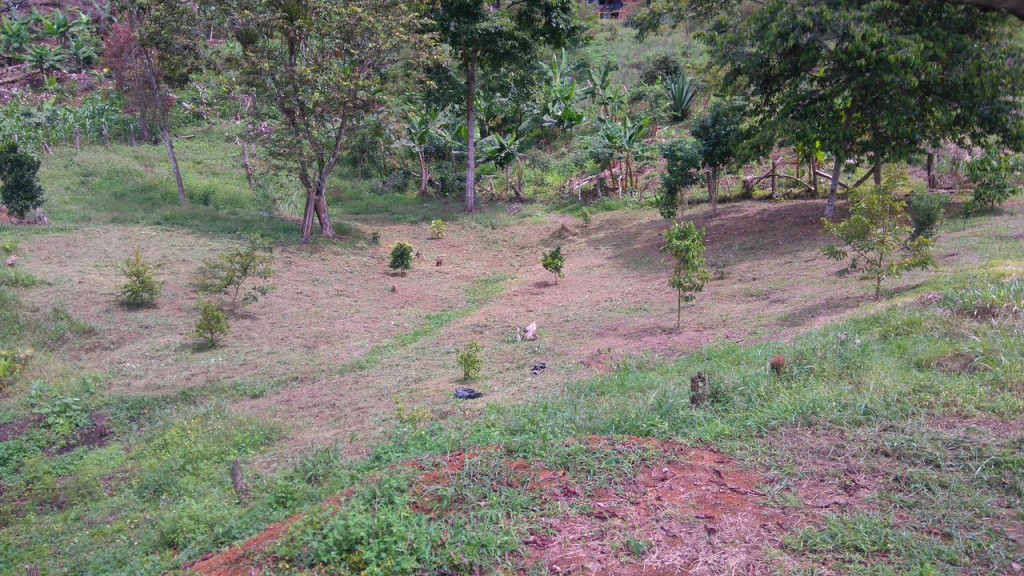 Lote En Venta - Potrerillo, Palmira