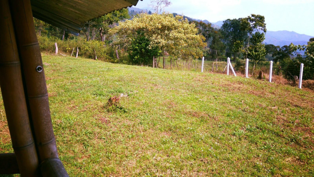 Lote En Venta - Potrerillo, Palmira Lote En Venta - Potrerillo, Palmira