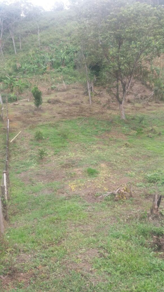 Lote En Venta - Potrerillo, Palmira