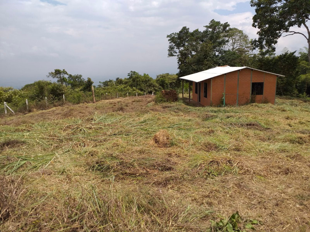 Lote En Venta - Potrerillo, Palmira