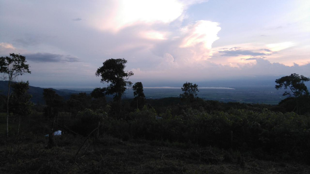 Lote En Venta - Potrerillo, Palmira