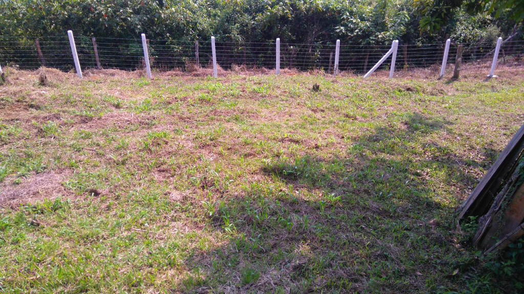 Lote En Venta - Potrerillo, Palmira