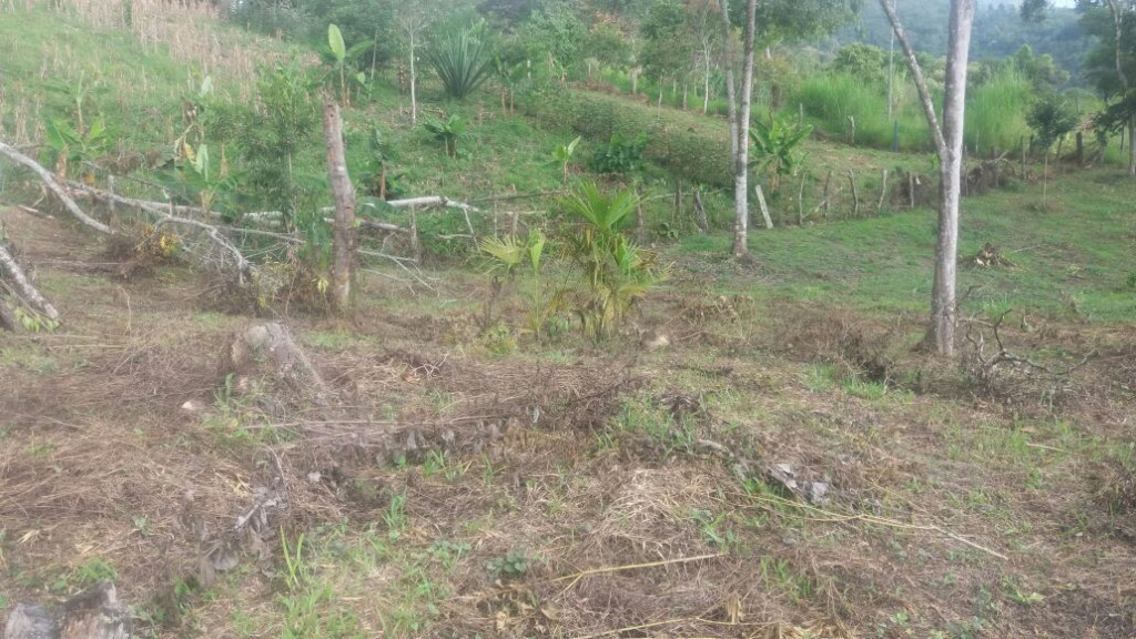 Lote En Venta - Potrerillo, Palmira