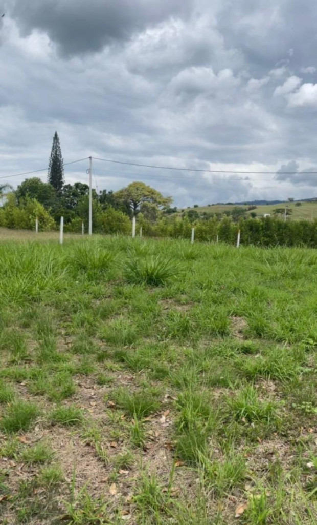 Lote En Venta - Buga, Corregimiento El Vinculo, Guadalajara De Buga