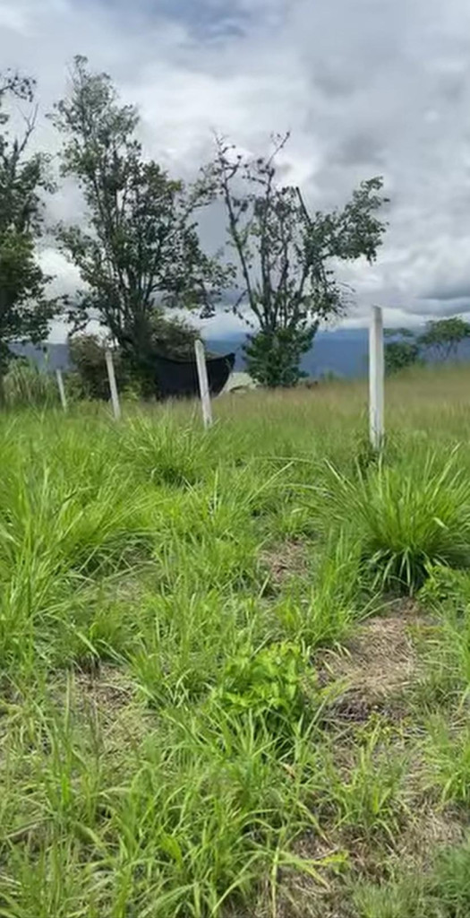 Lote En Venta - Buga, Corregimiento El Vinculo, Guadalajara De Buga