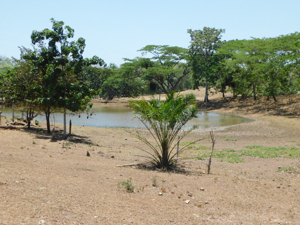 Vista de fachada