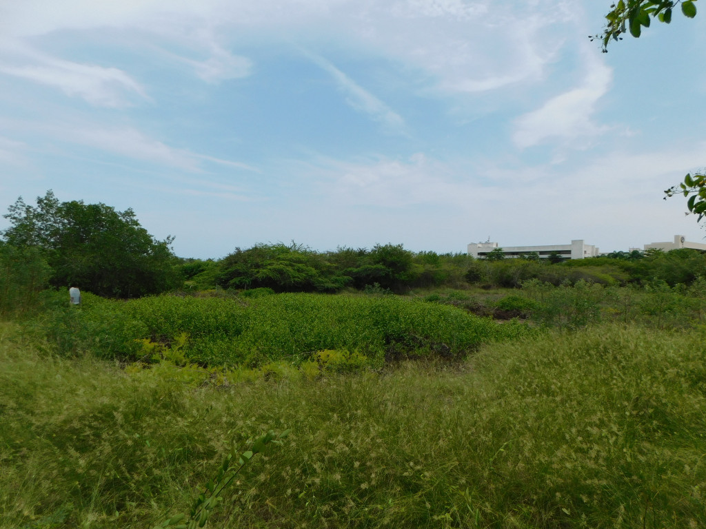 Vista de fachada