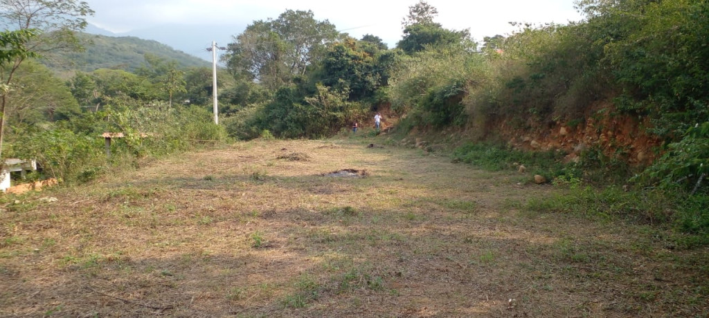 {{ ucwords(strtolower($similar['type'])) }}