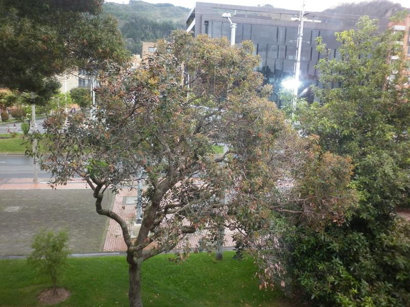 Foto 19 del inmueble