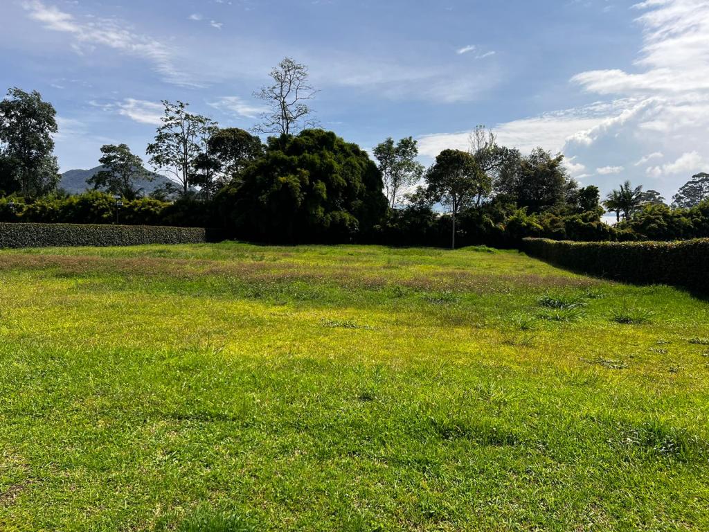 Lote en Venta en Aguas Claras, El Carmen De Viboral — foto 1