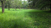 Lote en Venta en vereda Guaimaral, Amaga — miniatura 23