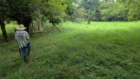 Lote en Venta en vereda Guaimaral, Amaga — miniatura 27